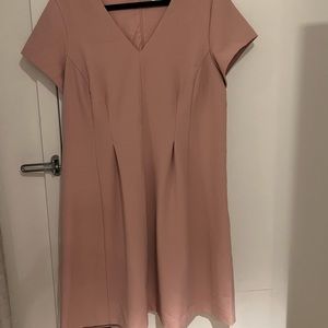 Blush Pink Dress worn 1x